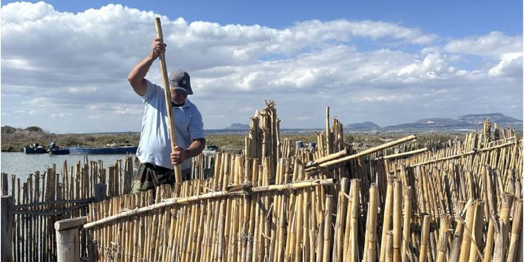 Çukurova’dan çıkıyor Türkiye’nin sofralarını süslüyor! Kilosu 5.000 TL’yi buluyor: Talep hiç bitmiyor 2